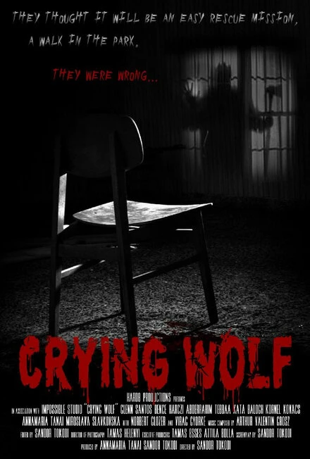 Постер Crying Wolf 2016