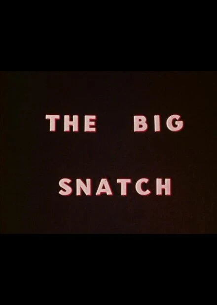 Постер The Big Snatch