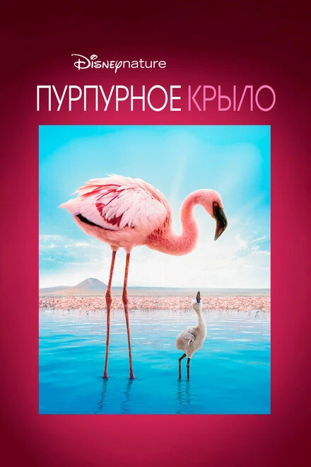 Постер Пурпурное крыло 2008