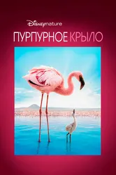 Пурпурное крыло 2008 постер