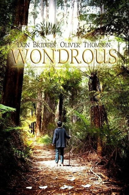 Постер Wondrous