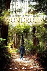Wondrous постер
