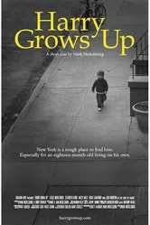 Harry Grows Up постер