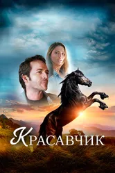 Красавчик 2015, США постер