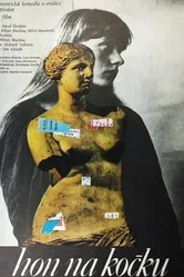 Игра в кошки-мышки 1980 постер