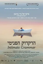 Внутренняя грамматика 2010 постер