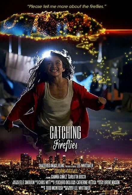 Постер Catching Fireflies