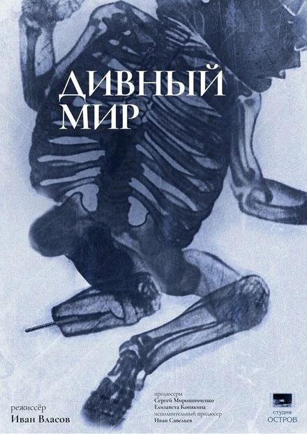 Постер Дивный мир 2023