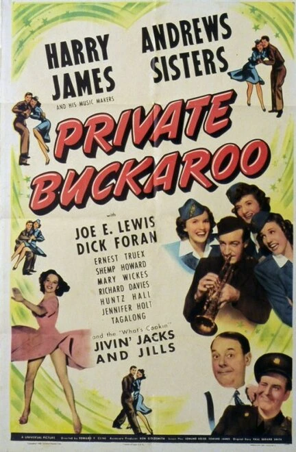 Постер Private Buckaroo