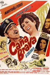 Канья Брава 1966 постер
