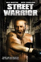 Уличный воин 2008 постер