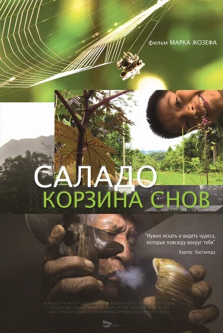 Постер Саладо. Корзина снов 2014