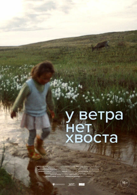 Постер У ветра нет хвоста 2024
