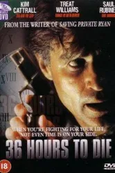 36 часов 1999 постер