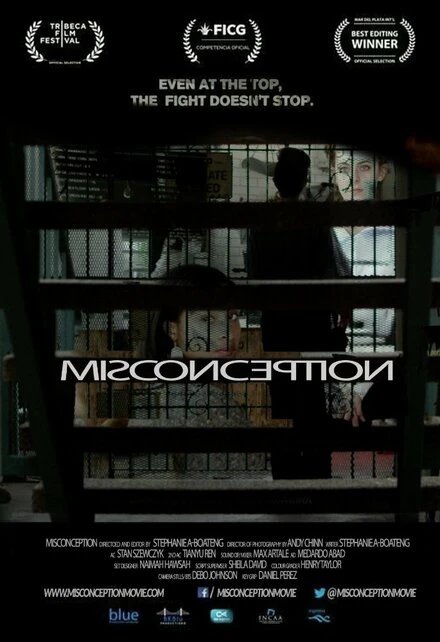 Постер Misconception 2017