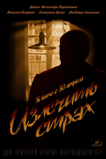 Постер Излечить страх 2013