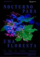 Nocturno para uma floresta постер