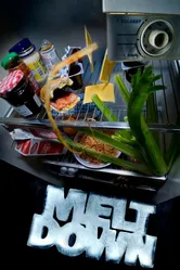 Meltdown 2009 постер