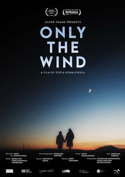 Постер Only the wind