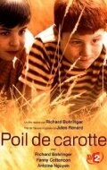 Постер Рыжик 2003