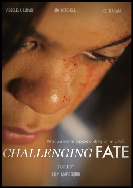 Постер Challenging Fate
