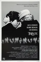 Чествование 1980 постер