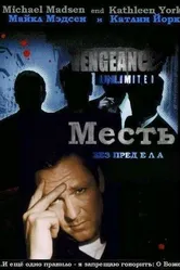 Месть без предела 1998 постер