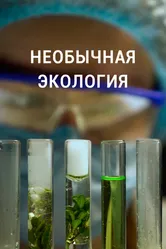 Необычная экология 2021 постер