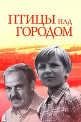 Птицы над городом 1974 постер