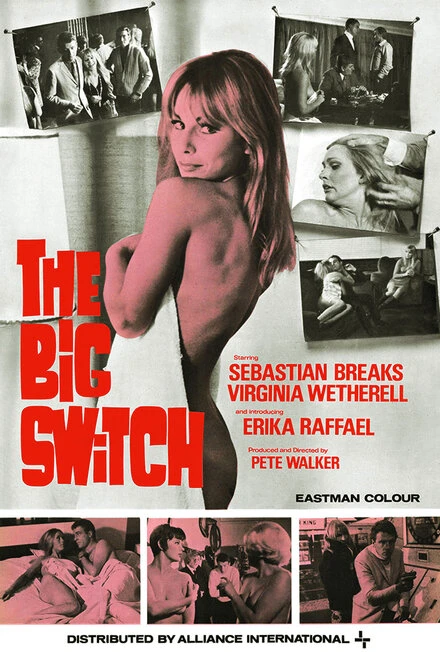 Постер The Big Switch