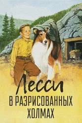 Лесси в разрисованных холмах 1951 постер