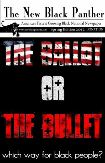 Постер The Ballot or the Bullet