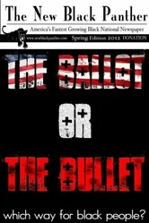 The Ballot or the Bullet постер