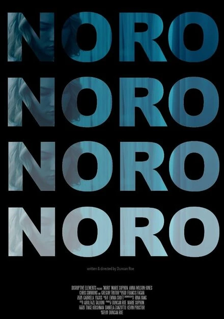 Постер Noro 2016