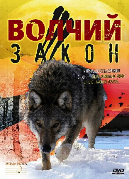 Постер Волчий закон 2008