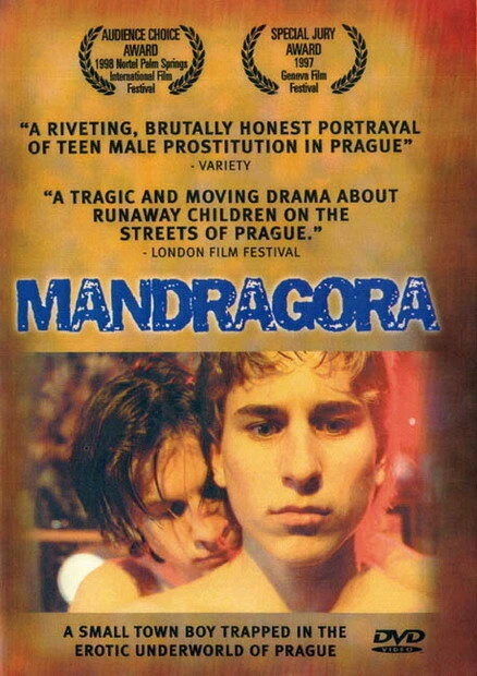 Постер Мандрагора 1997