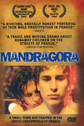 Мандрагора 1997 постер