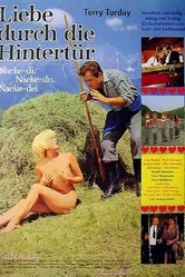 Любовь с черного хода 1969 постер