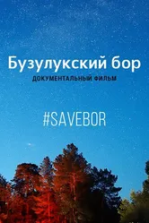 Бузулукский бор 2018 постер