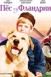 Пёс из Фландрии 1960 постер