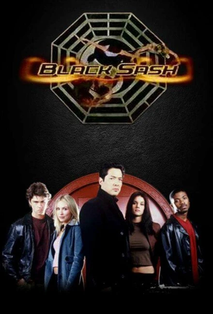 Постер Черный пояс 2003