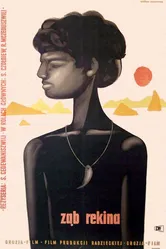 Зуб акулы 1959 постер