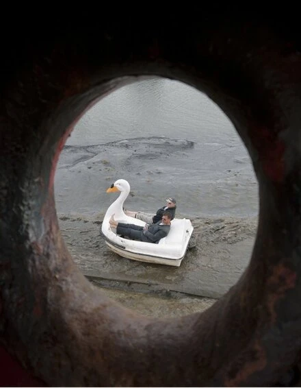 Постер Swandown