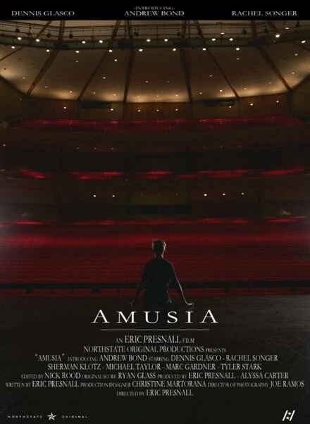 Постер Amusia 2016