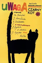 Черный котенок 1965 постер