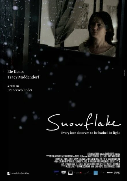 Постер Snowflake 2014, США
