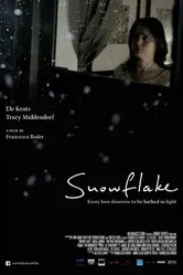Snowflake 2014, США постер