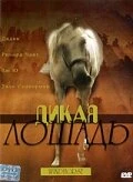 Постер Дикая лошадь 1998