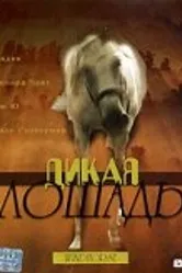 Дикая лошадь 1998 постер
