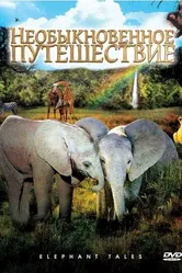 Необыкновенное путешествие: История про двух слонят 2006 постер